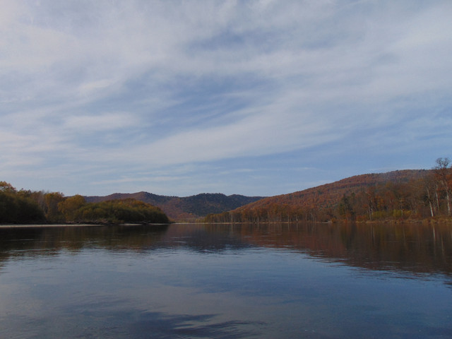 DSC04394.jpg