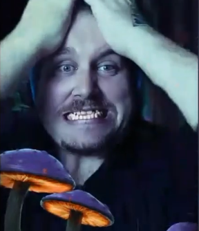 v26231.png