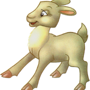 kozel07