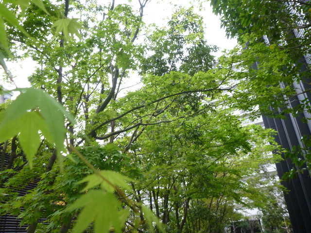 P1230880