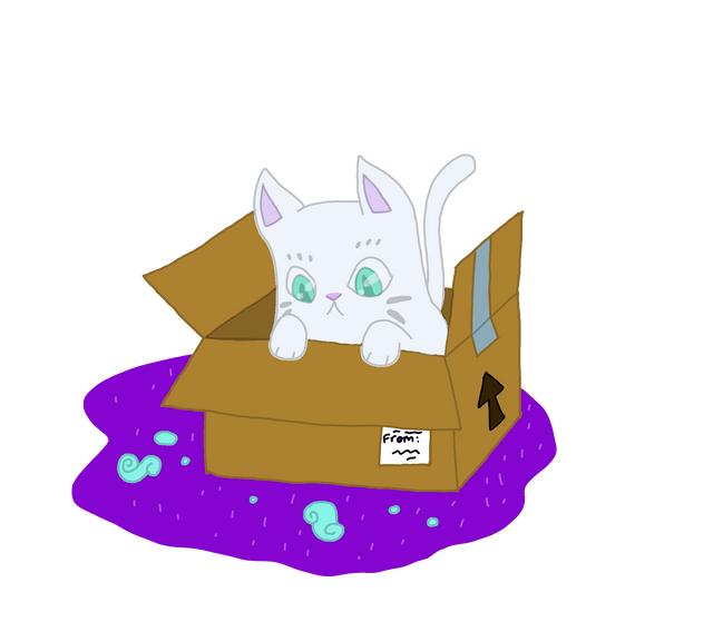 kitty-package.png