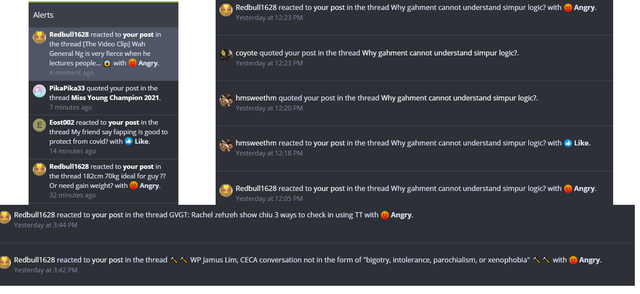 report.png