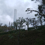 DSC-0106