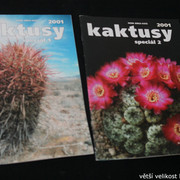 IMG-3305