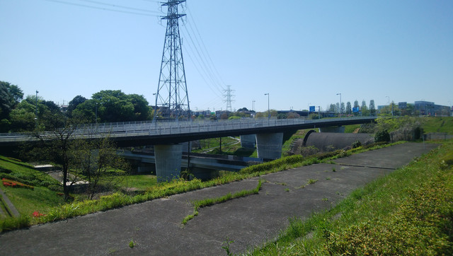 DSC-0025