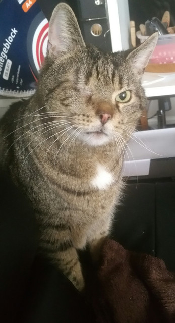 Oskar