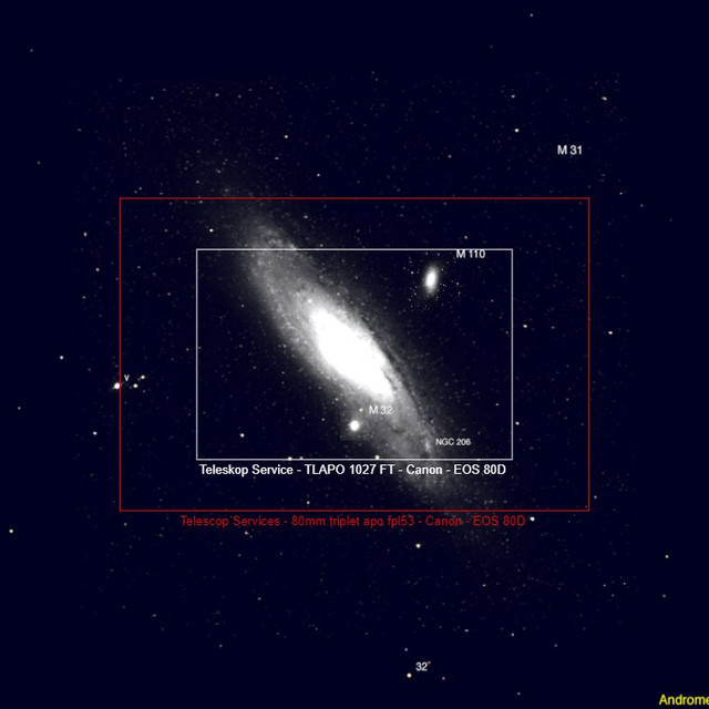 m31