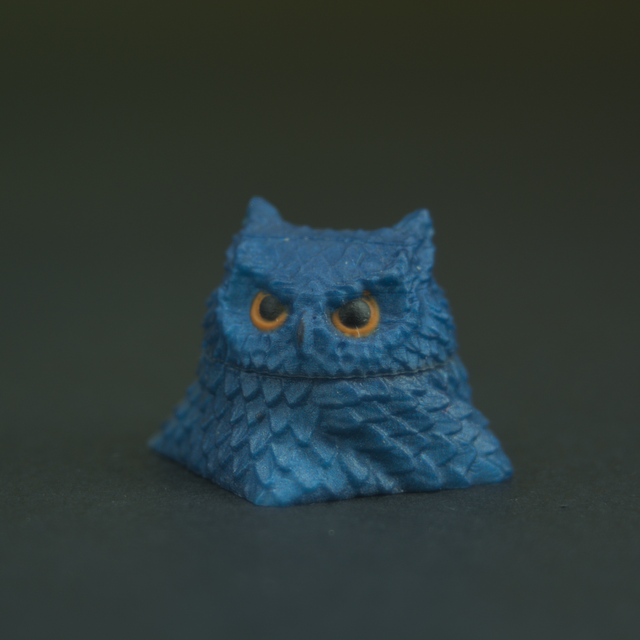 DSC-0031.png