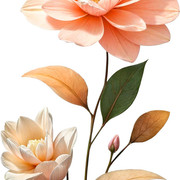 01-4