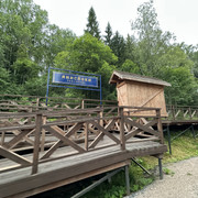 IMG 4409