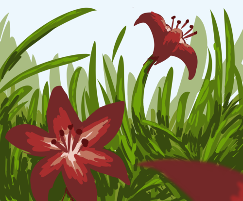 lilies version one 500x414.png