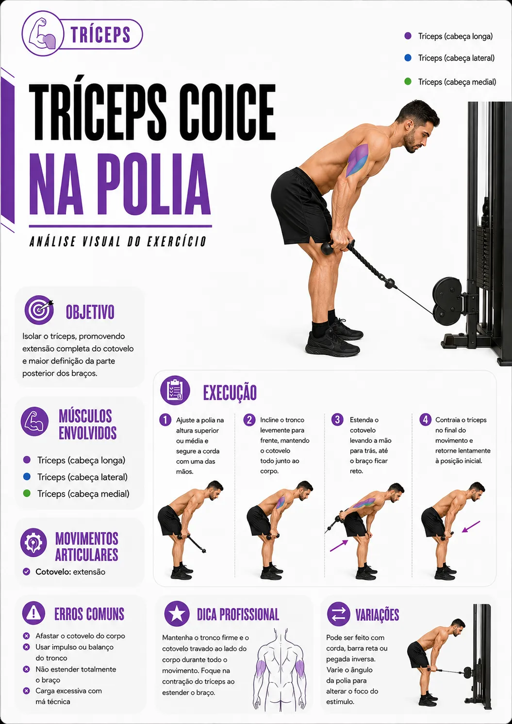Ficha anatômica da musculação - Exemplo de exercício