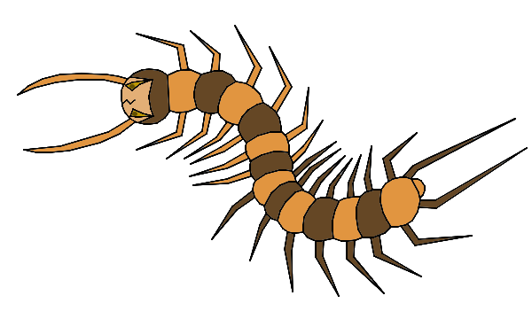 Centipede.png