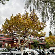 西湖9