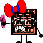 Slipper 1