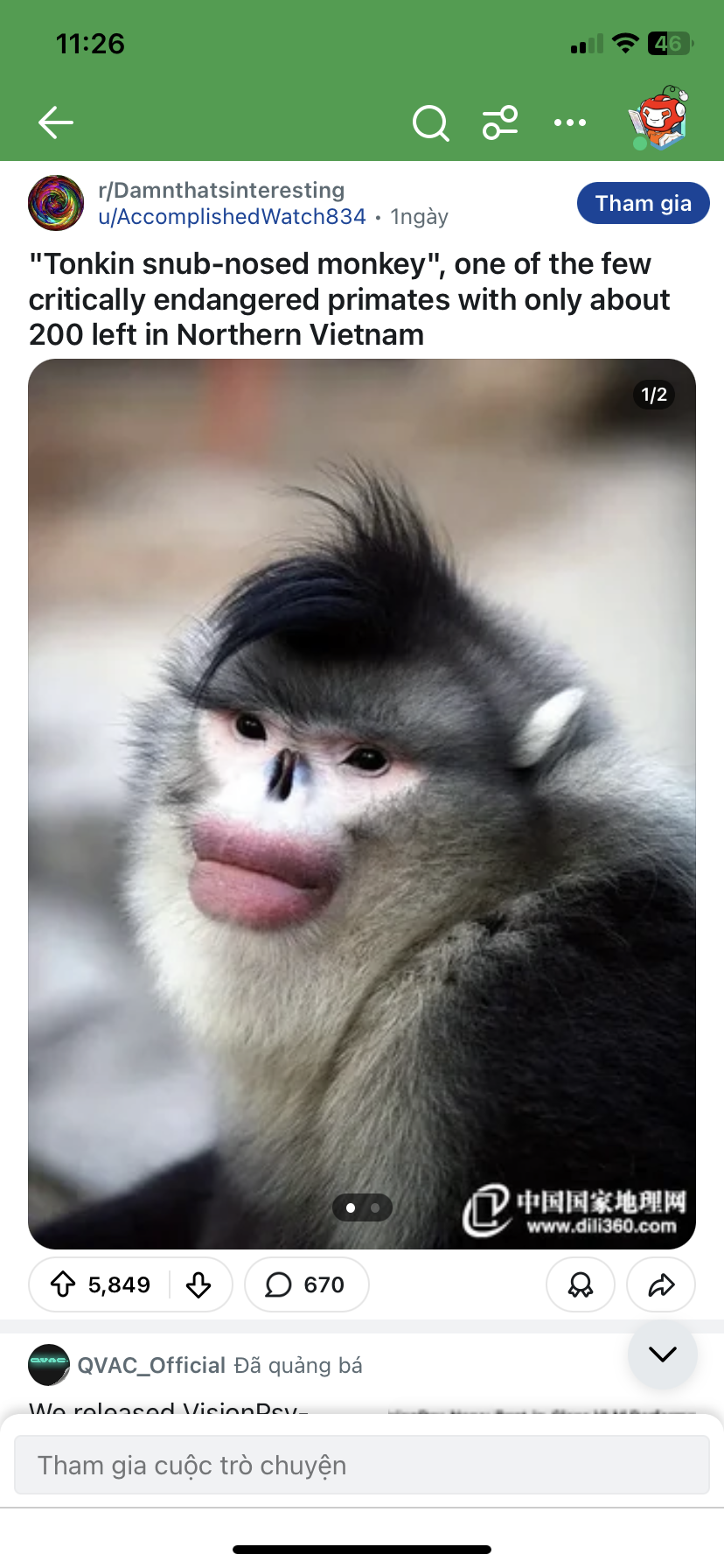 IMG-0970.png