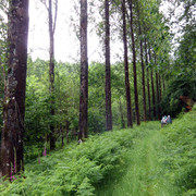IMGP0186