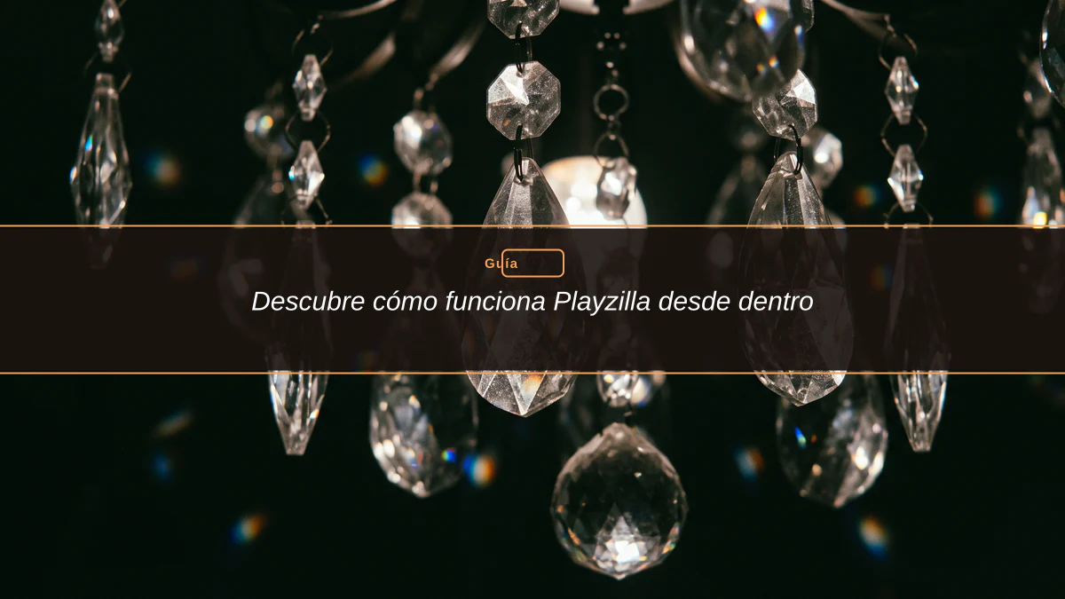 Descubre cómo funciona Playzilla desde dentro