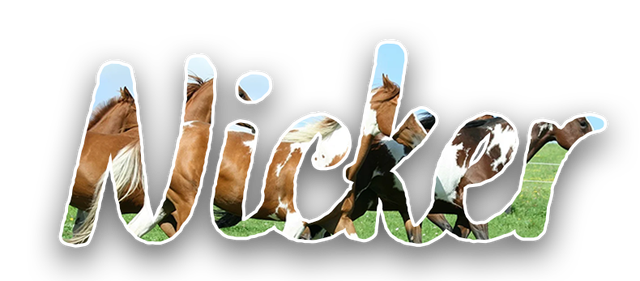 IMG-0262.png