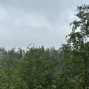 IMG 4497