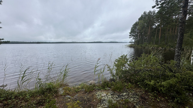 IMG 4655.jpg