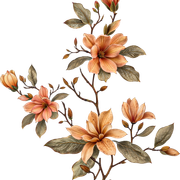 13f1db210a2ae55235d79de05eaea295