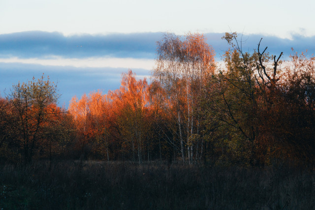 DSCF0974 копия