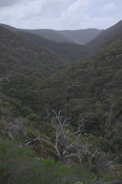 IMGP0650