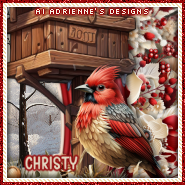 Chrissy First Snowa Christy vi.png
