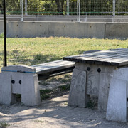 IMG 8156