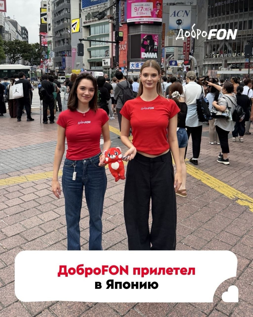 https://i.ibb.co/84P3tHX0/IMG-3113.jpg