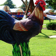 DSC08018