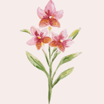 flower2.png