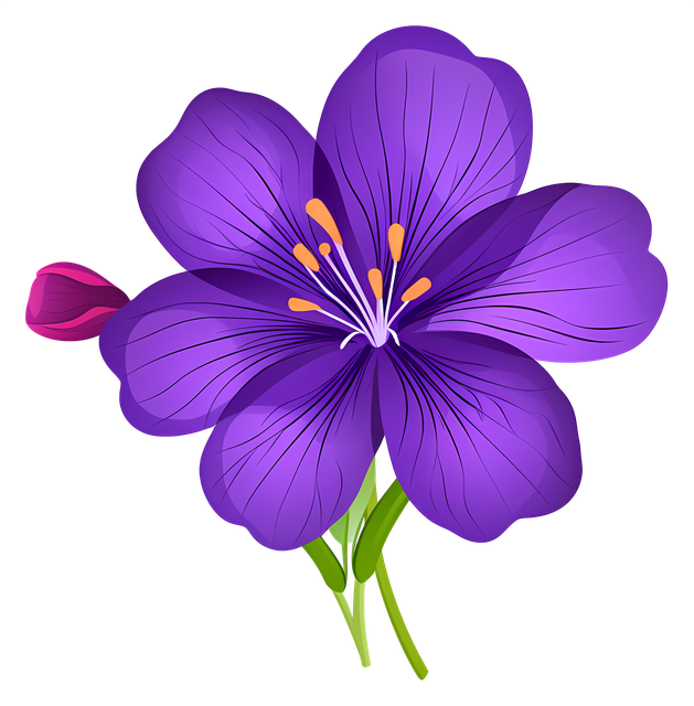 178806d1ebd1bde913032ac0ba35c1f8.png