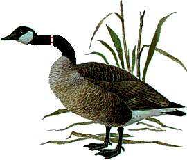 2QFQV5VOVMLISULPY7FSI5HT2R5XMEB3