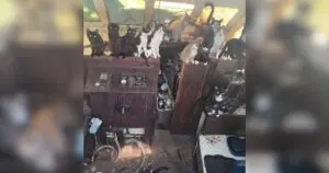 Over Thirty Cats Rescued from Abandoned Vessel Near Owen Beach