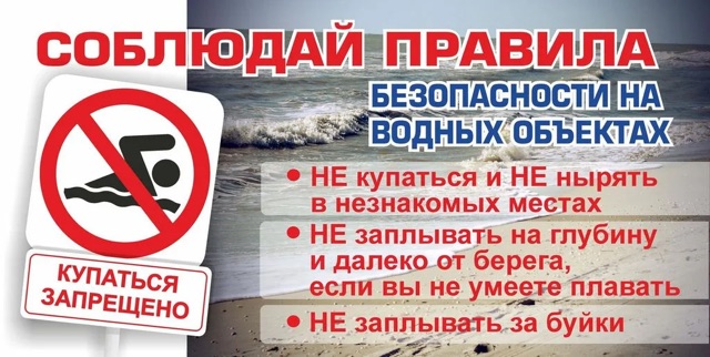 https://i.ibb.co/84YVBWHc/IMG-0609.jpg