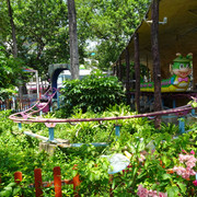 DSC00638