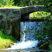 IMG-1703