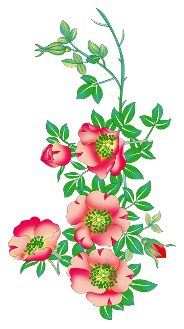 2933daaa2c6bc8cfc2a08335ebe0dd78.png