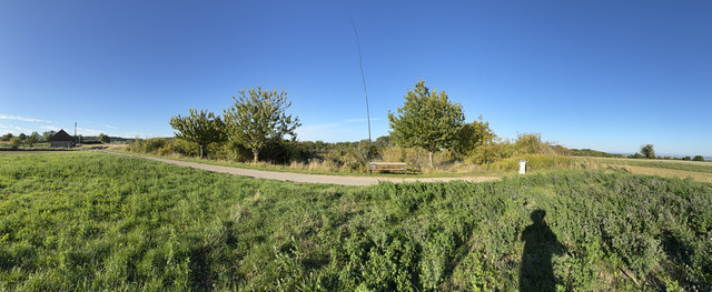 IMG-0466
