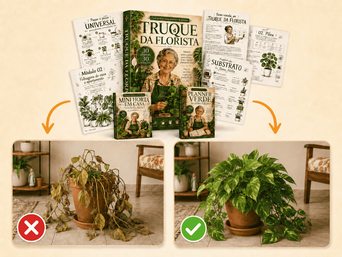 Comparação antes e depois de plantas cuidadas com o Guia Truque da Florista