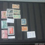 IMG-2457