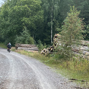 IMG 4424