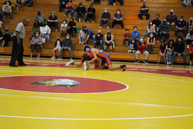 IMG-0288