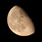 IMG-2173