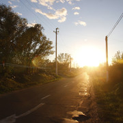 1002a0261m