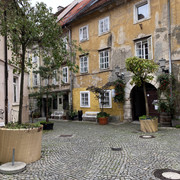 IMG-2756