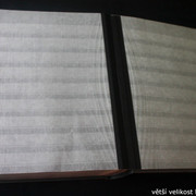 IMG-3358