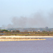IMG-2662